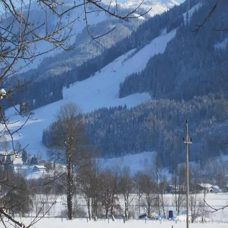 Appartement In Saalfelden Near Slopes, Cleaning Included Lanthal